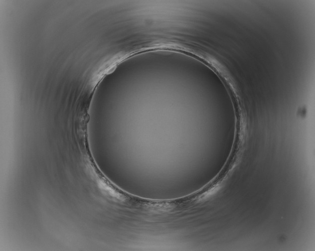 X0000110991001200906191423