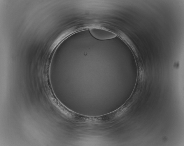 X0000110991002200906191423