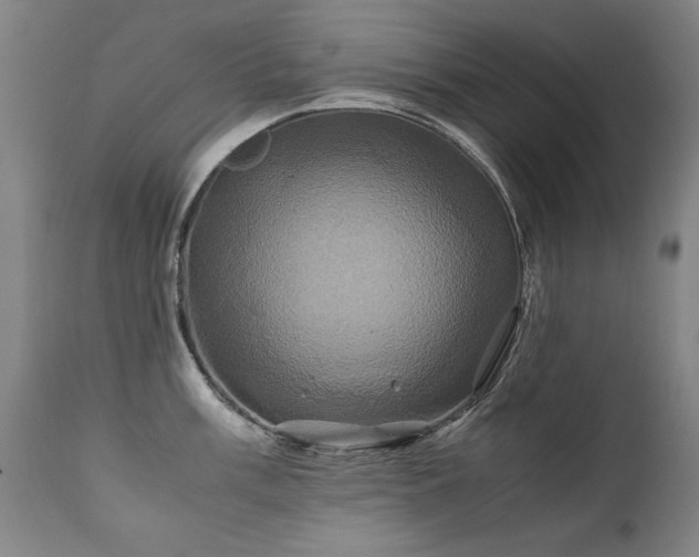 X0000110991003200906191423