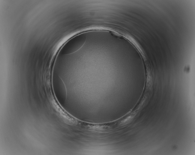 X0000110991004200906191423