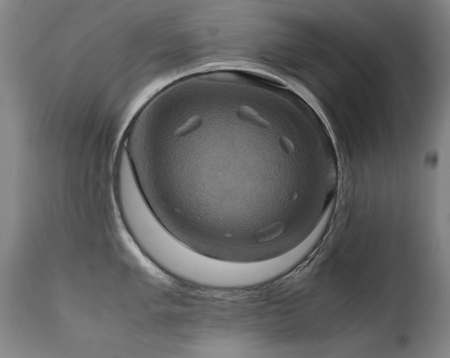 X0000110991005200906191423