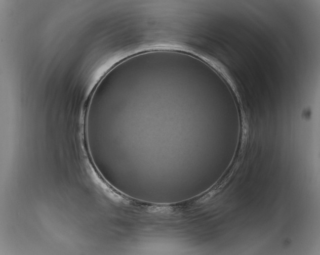 X0000110991006200906191423