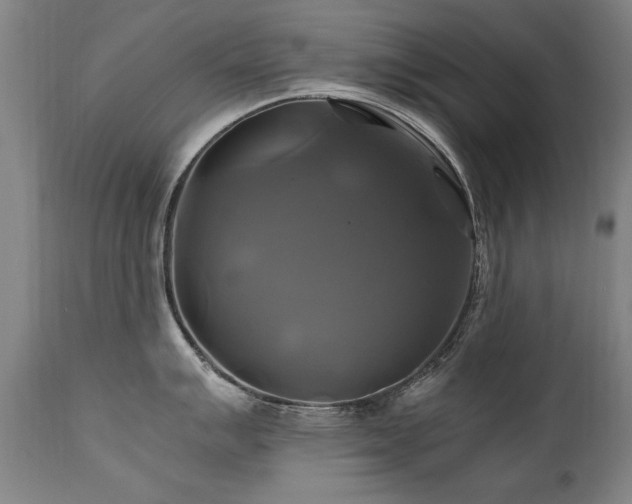 X0000110991007200906191423