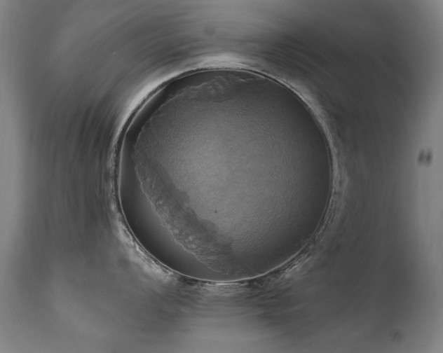 X0000110991008200906191423