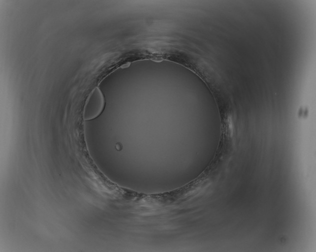 X0000110991009200906191422