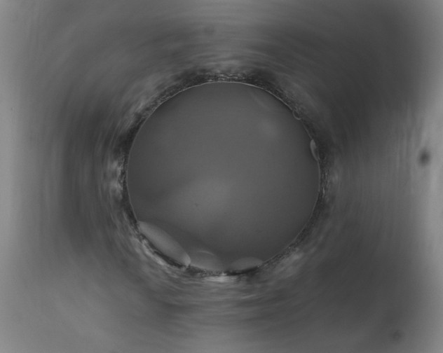 X0000110991010200906191422