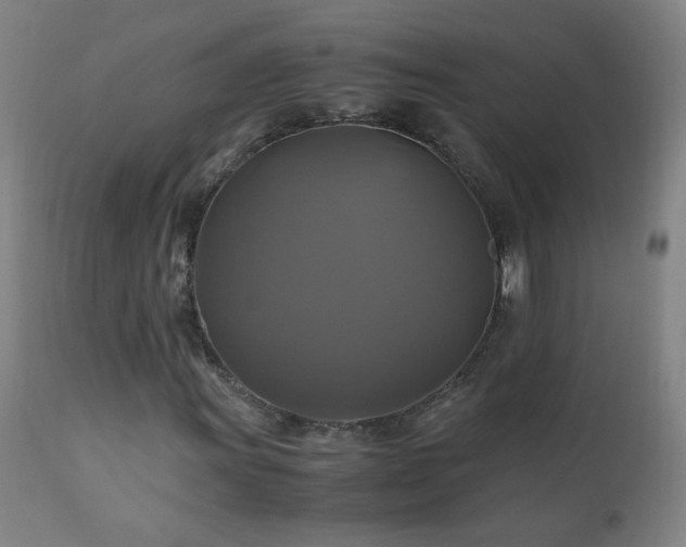 X0000110991011200906191422