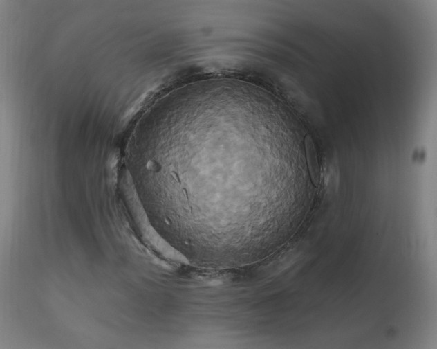 X0000110991012200906191422
