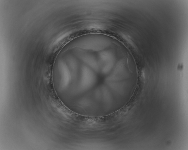 X0000110991015200906191422