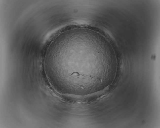 X0000110991016200906191422