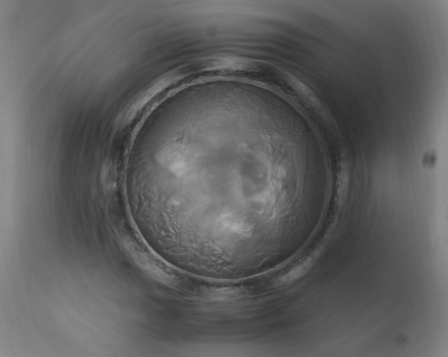 X0000110991017200906191422