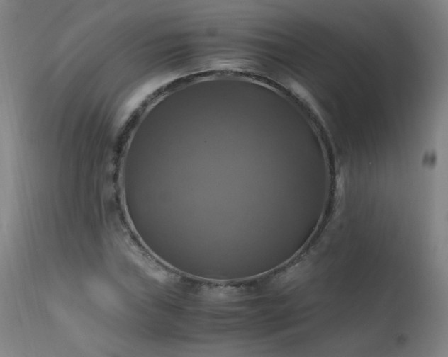 X0000110991019200906191422