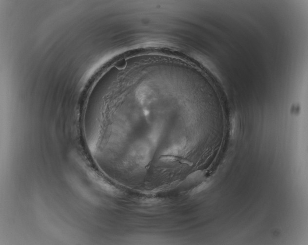 X0000110991021200906191422