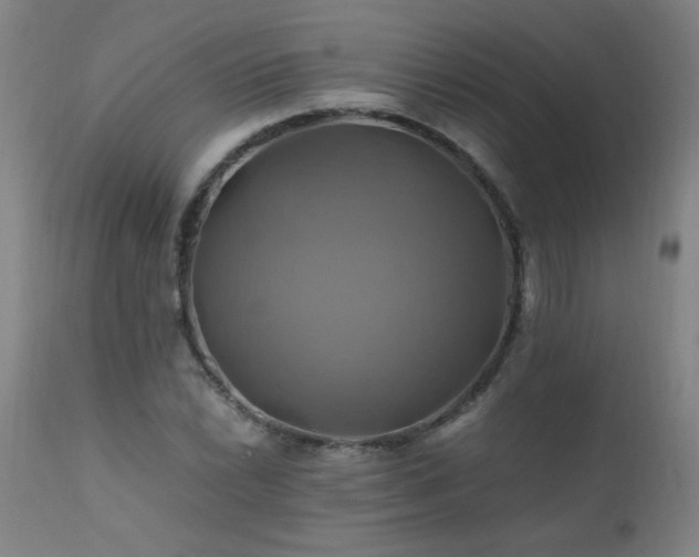 X0000110991022200906191422