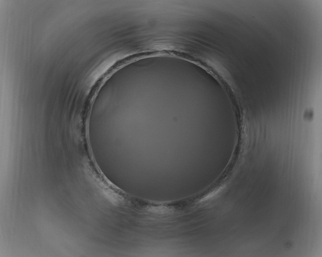 X0000110991023200906191422