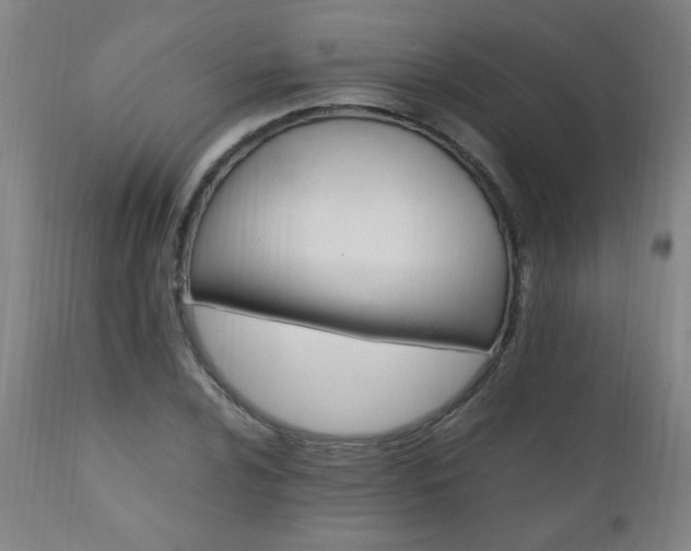 X0000110991024200906191422