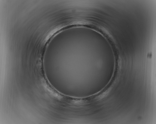 X0000110991025200906191422