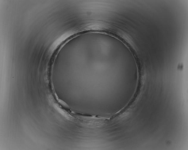 X0000110991026200906191422