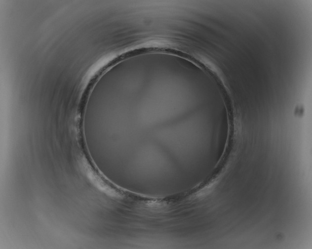 X0000110991029200906191422