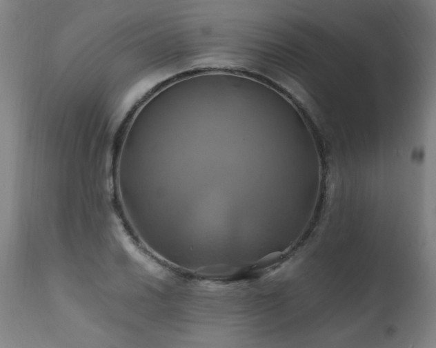 X0000110991030200906191422