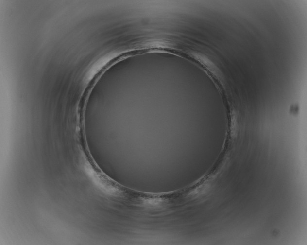 X0000110991031200906191422