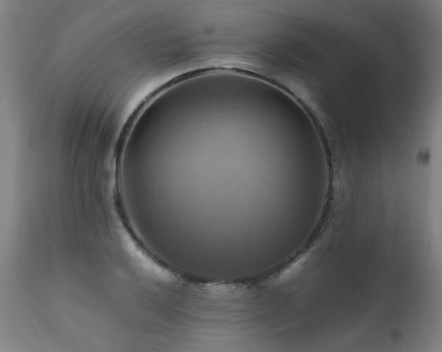 X0000110991032200906191422