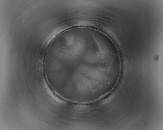X0000110991033200906191422