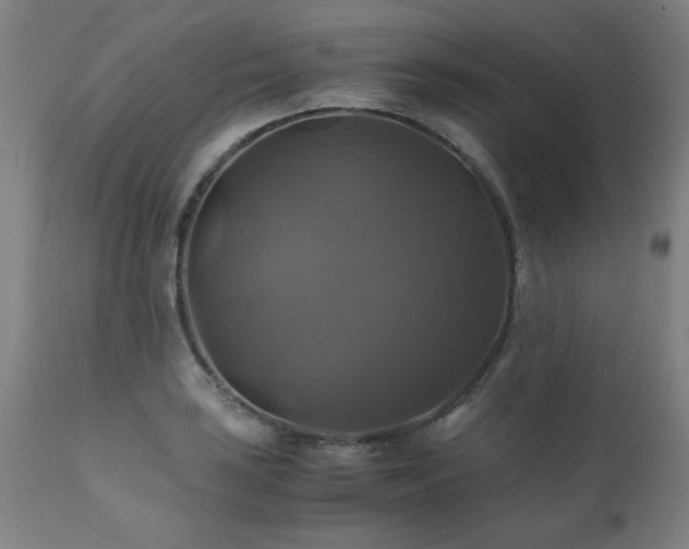 X0000110991035200906191422