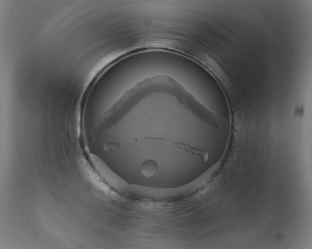 X0000110991036200906191422