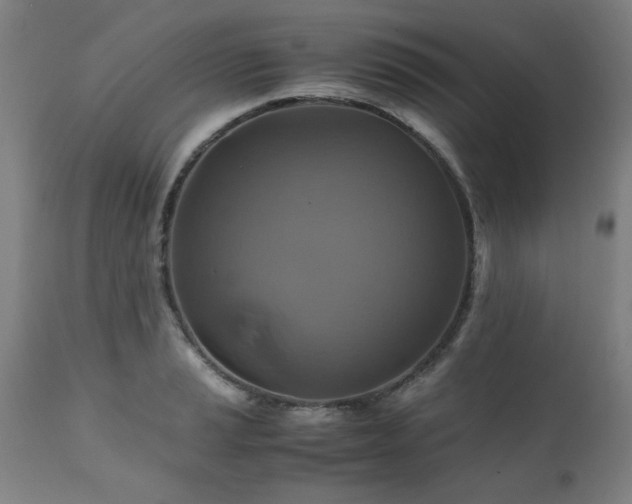 X0000110991037200906191422
