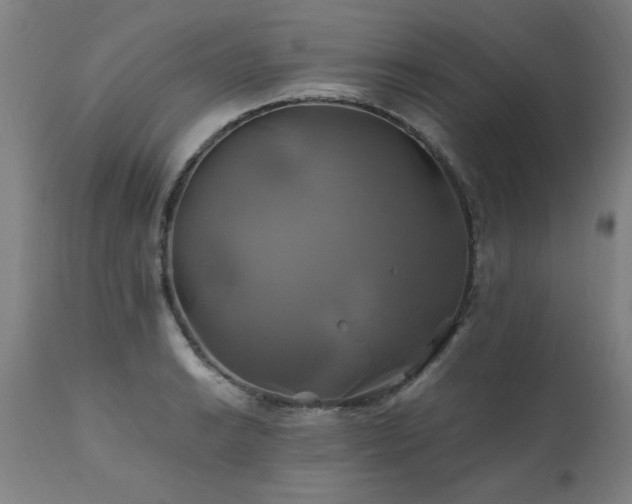 X0000110991038200906191422