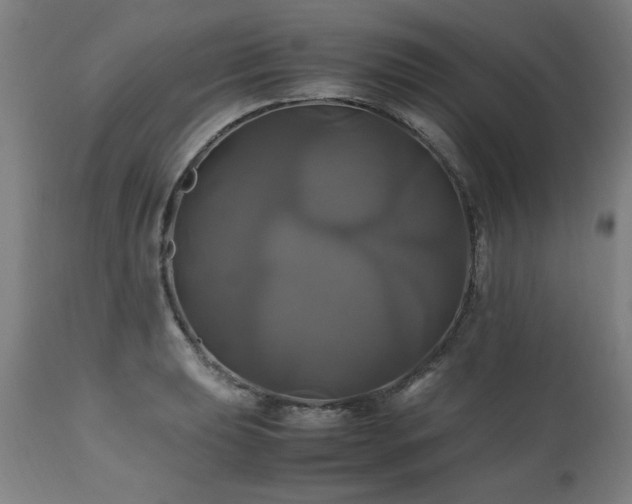 X0000110991039200906191422