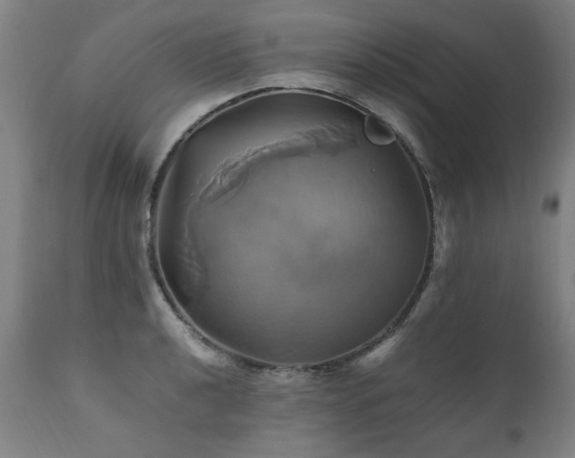 X0000110991040200906191422