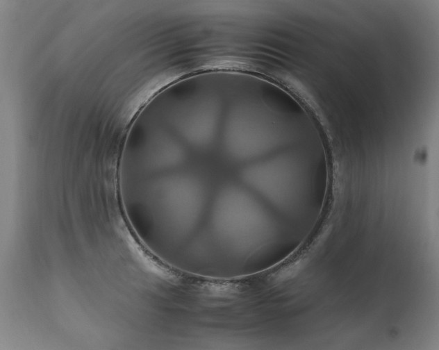X0000110991041200906191423