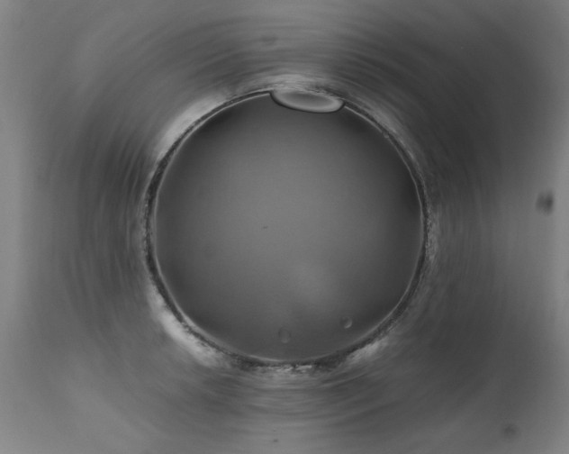 X0000110991042200906191423