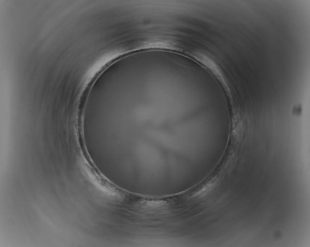 X0000110991043200906191423