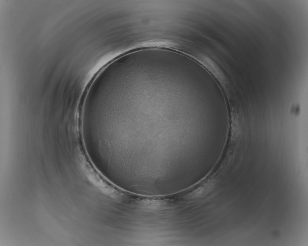 X0000110991044200906191423