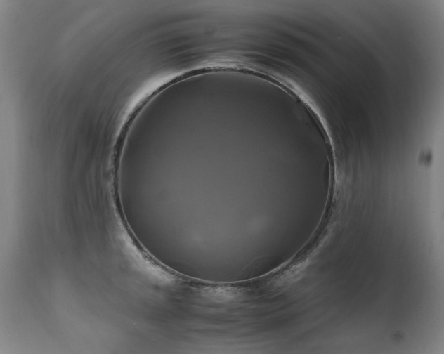 X0000110991045200906191423