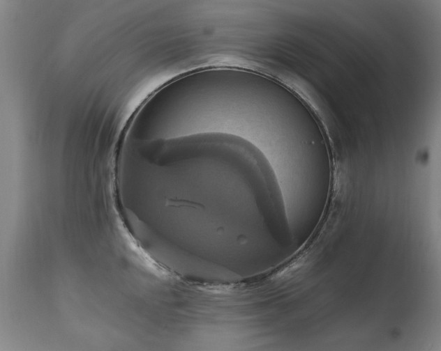 X0000110991048200906191423