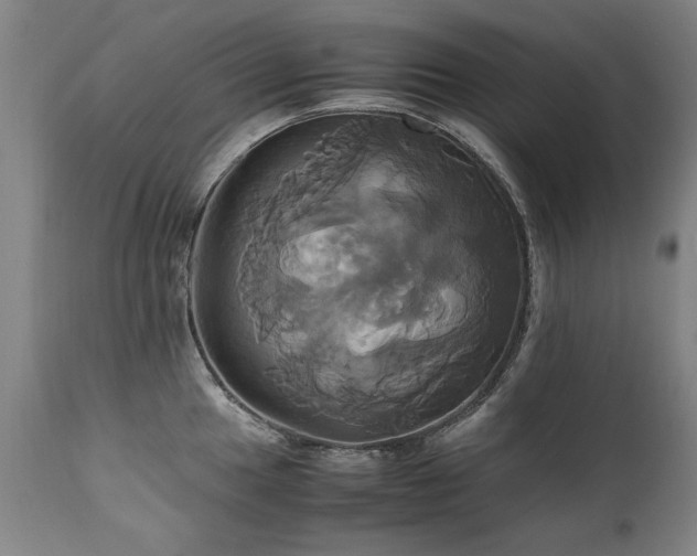 X0000110991049200906191423
