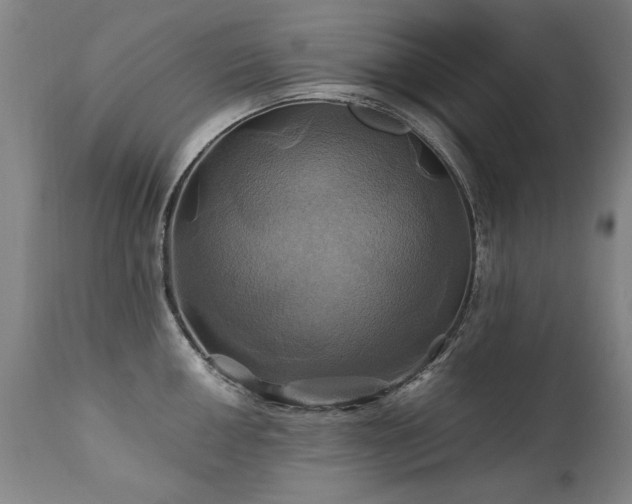 X0000110991050200906191423