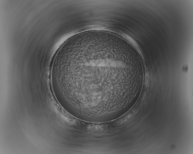 X0000110991051200906191423