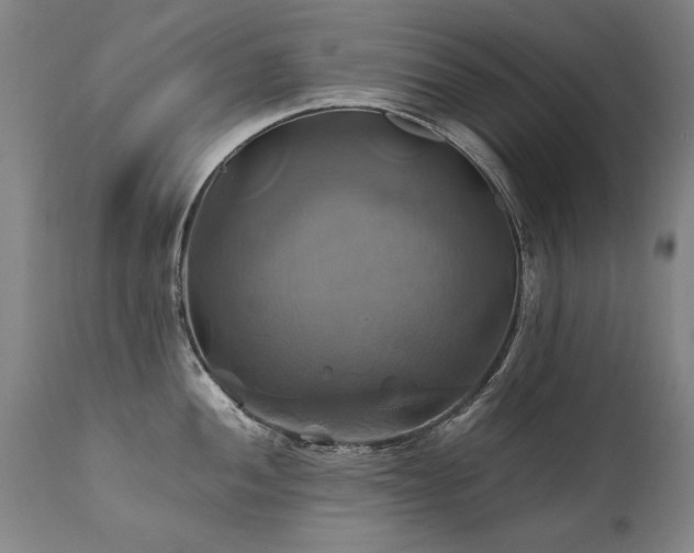 X0000110991052200906191423
