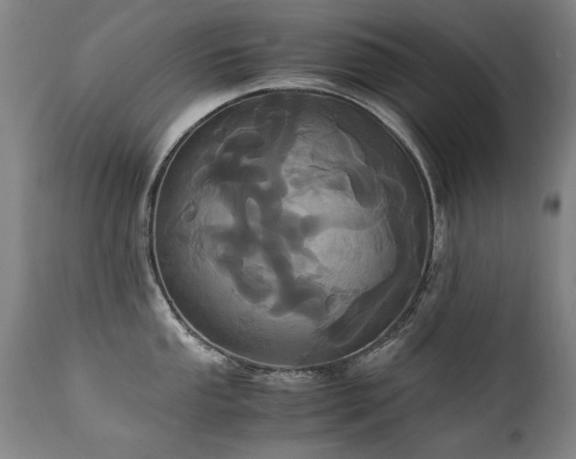 X0000110991053200906191423