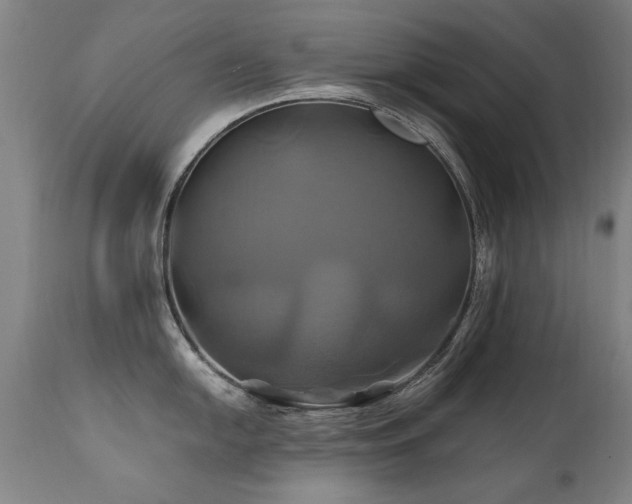X0000110991054200906191423