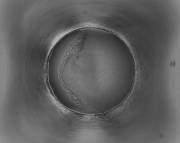 X0000110991056200906191423