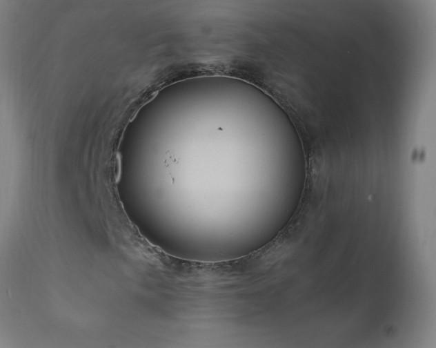 X0000110991057200906191422