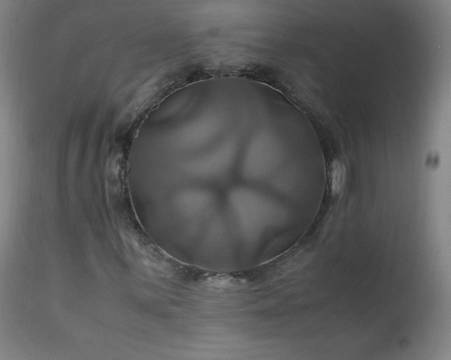 X0000110991059200906191422