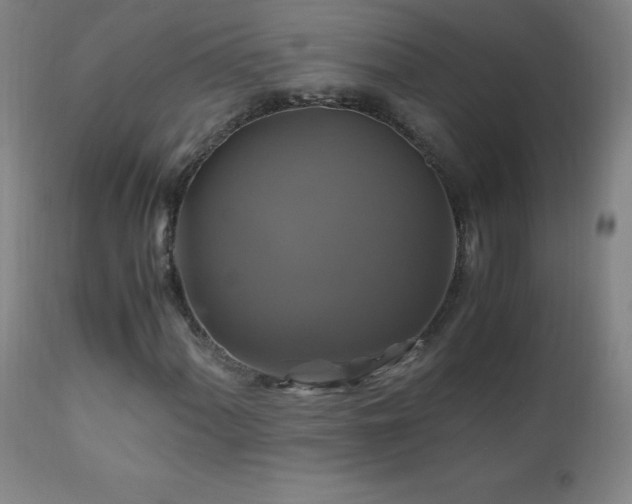 X0000110991060200906191422