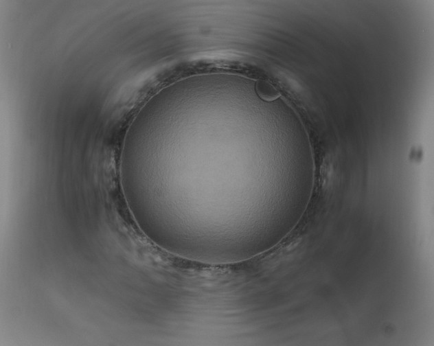 X0000110991062200906191422